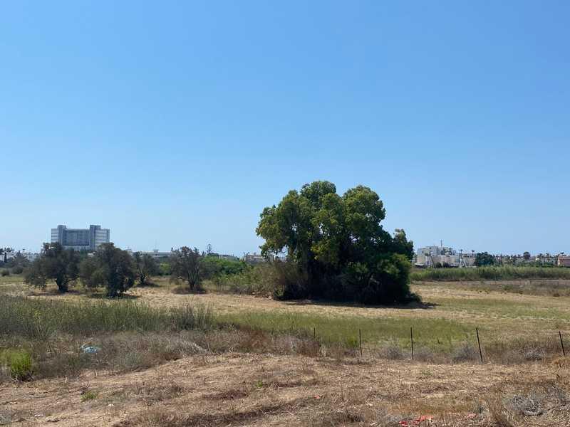 Residential land 15301 m²: https://www.bazaraki.com/adv/5799627_residential-land-15301-m2 (www.bazaraki.com)