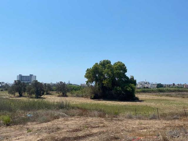 Residential land 15301 m²: https://www.bazaraki.com/adv/5799627_residential-land-15301-m2 (www.bazaraki.com)