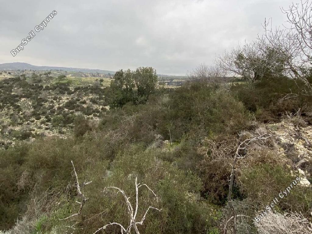 2,527 SQM Agricultural Land for sale in Peyia, Paphos: https://www.buysellcyprus.com/property-for-sale/paphos/peyia/land-for-sale-peyia-paphos-1800886.html (www.buysellcyprus.com)