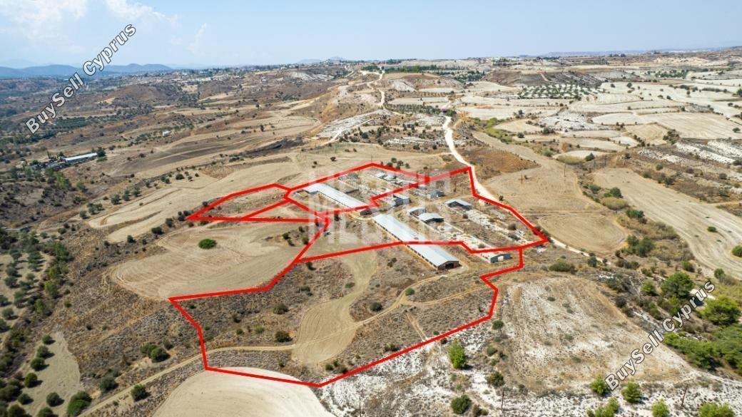 37,460 SQM Land for sale in Analiontas, Nicosia: https://www.buysellcyprus.com/property-for-sale/nicosia/analiontas/land-for-sale-analiontas-nicosia-1796817.html (www.buysellcyprus.com)