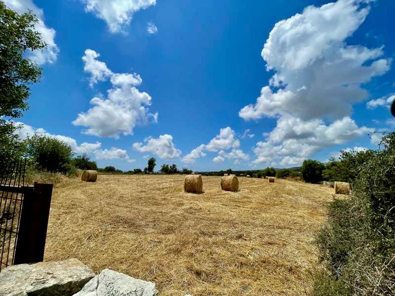 Agricultural land 10703 m²: https://www.bazaraki.com/adv/5786923_agricultural-land-10703-m2 (www.bazaraki.com)
