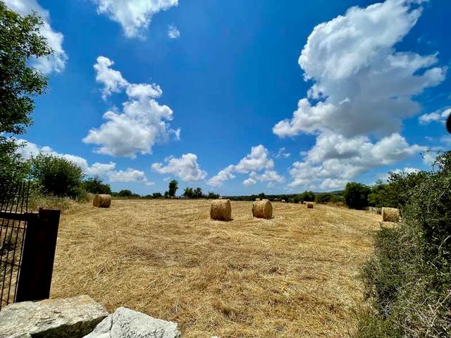 Agricultural land 10703 m²: https://www.bazaraki.com/adv/5786923_agricultural-land-10703-m2 (www.bazaraki.com)