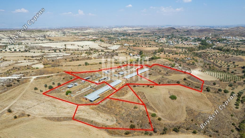37,460 SQM Land for sale in Analiontas, Nicosia: https://www.buysellcyprus.com/property-for-sale/nicosia/analiontas/land-for-sale-analiontas-nicosia-1796817.html (www.buysellcyprus.com)
