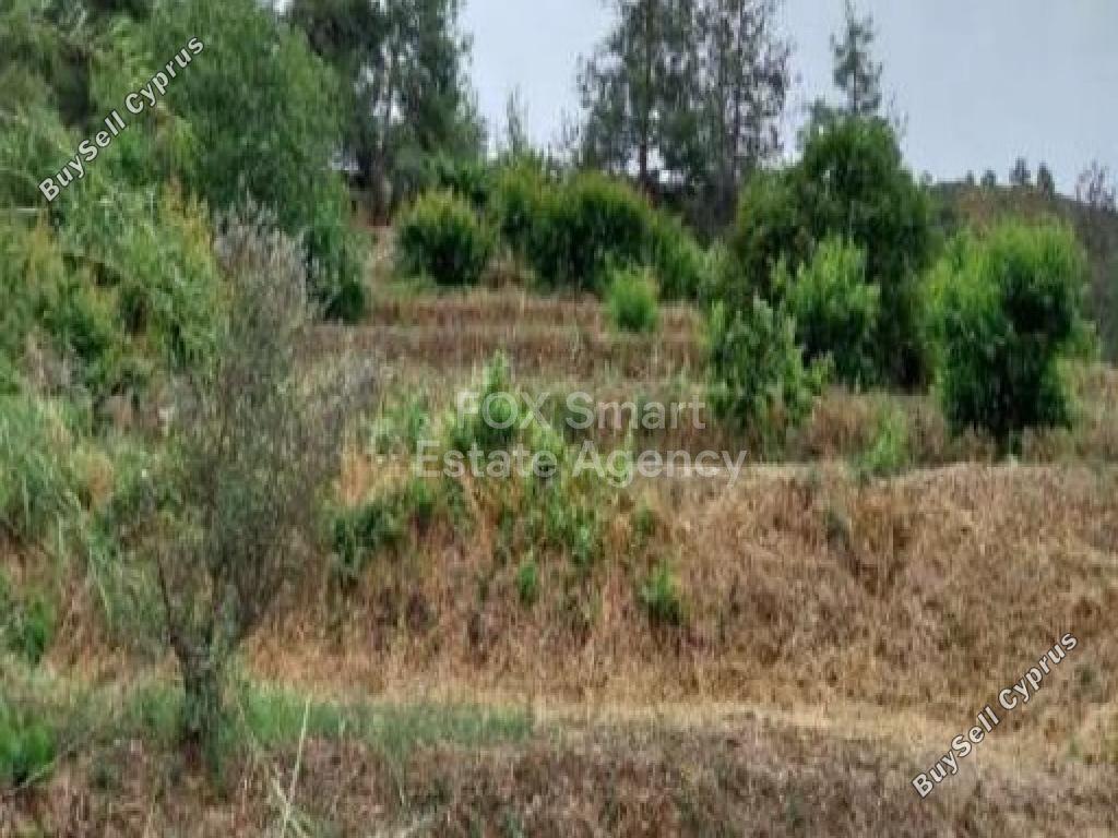 3,494 SQM Plot for sale in Kakopetria, Nicosia: https://www.buysellcyprus.com/property-for-sale/nicosia/kakopetria/plot-for-sale-kakopetria-nicosia-1795428.html (www.buysellcyprus.com)