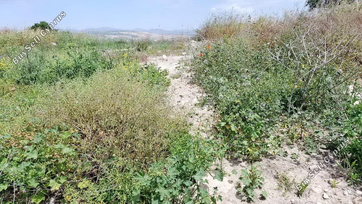 1,050 SQM Residential Land for sale in Stroumbi, Paphos: https://www.buysellcyprus.com/property-for-sale/paphos/stroumbi/land-for-sale-stroumbi-paphos-1797002.html (www.buysellcyprus.com)