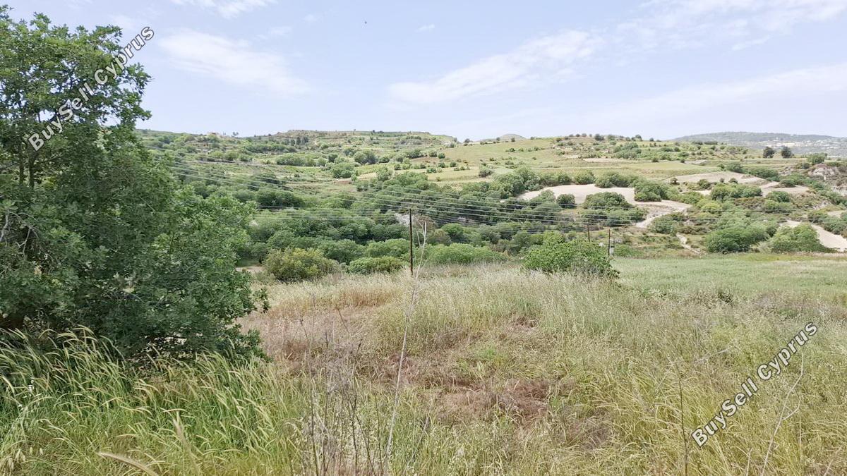 1,050 SQM Residential Land for sale in Stroumbi, Paphos: https://www.buysellcyprus.com/property-for-sale/paphos/stroumbi/land-for-sale-stroumbi-paphos-1797002.html (www.buysellcyprus.com)