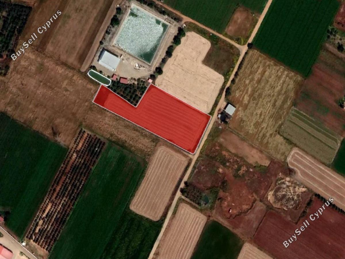 7,860 SQM Land for sale in Xylofagou, Larnaca: https://www.buysellcyprus.com/property-for-sale/larnaca/xylofagou/land-for-sale-xylofagou-larnaca-1795281.html (www.buysellcyprus.com)