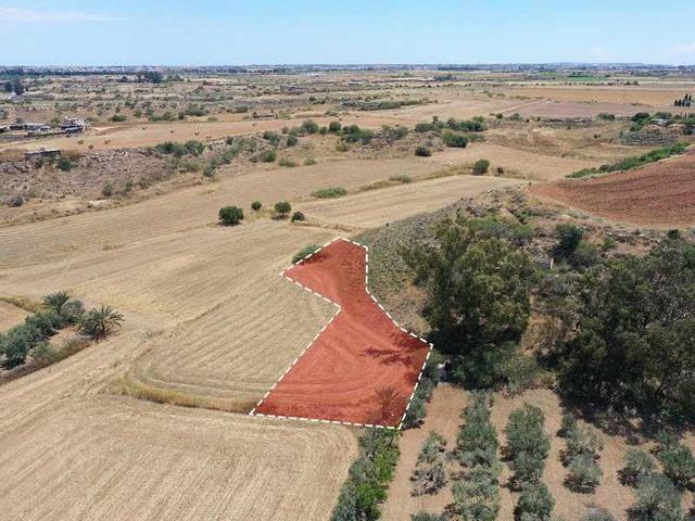 Agricultural land 1645 m²: https://www.bazaraki.com/adv/5757041_agricultural-land-1645-m2 (www.bazaraki.com)