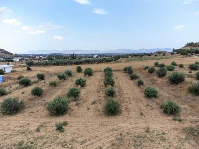Residential land 3129 m²: https://www.bazaraki.com/adv/5787918_residential-land-3129-m2 (www.bazaraki.com)