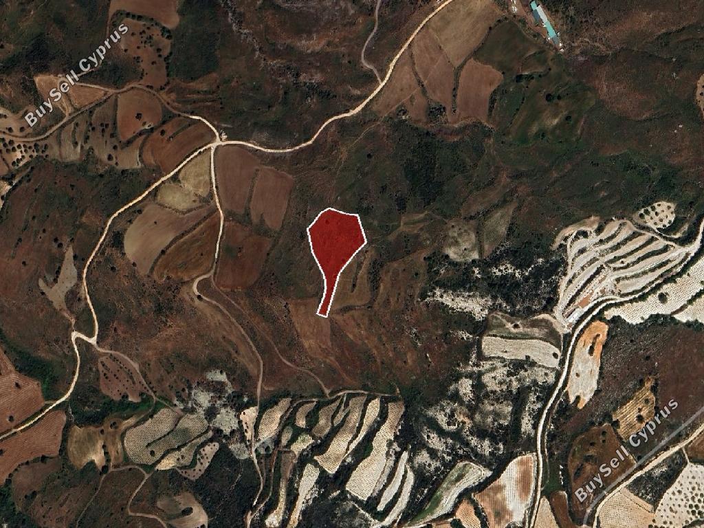 5,686 SQM Agricultural Land for sale in Ineia, Paphos: https://www.buysellcyprus.com/property-for-sale/paphos/ineia/land-for-sale-ineia-paphos-1800859.html (www.buysellcyprus.com)