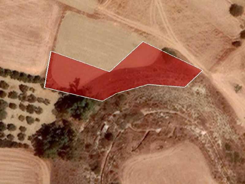 Agricultural land 1645 m²: https://www.bazaraki.com/adv/5757041_agricultural-land-1645-m2 (www.bazaraki.com)