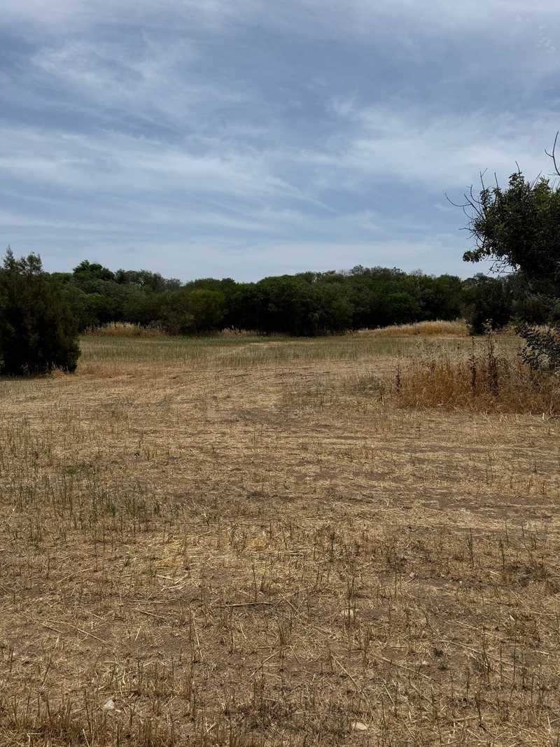 Residential land 2669 m²: https://www.bazaraki.com/adv/5796999_residential-land-2669-m2 (www.bazaraki.com)