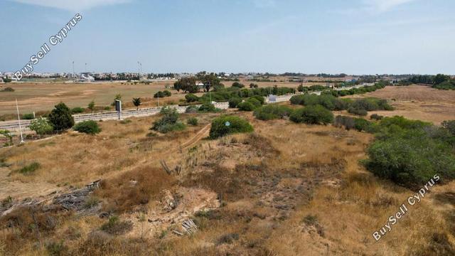 3,165 SQM Agricultural Land for sale in Paralimni, Famagusta: https://www.buysellcyprus.com/property-for-sale/famagusta/paralimni/land-for-sale-paralimni-famagusta-1800642.html (www.buysellcyprus.com)